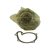 Pump in original polythene wrapping, impeller face visible through bag showing multi-blade pressed-metal impeller. Mounting flange with three bolt holes visible. Flat metal gasket laid out separately below pump, showing three-hole mounting profile with ovoid water passage.
