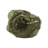 Top-down view of pump impeller face through polythene bag, showing multi-blade stamped impeller, centre shaft/pin, and three mounting-hole flange ears. Impeller and housing appear clean with no corrosion.