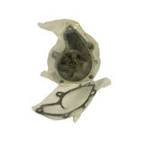 Second view of bagged pump showing impeller-side profile with pulley-mount studs, plus the separate teardrop-shaped paper gasket in its own bag