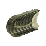 Angled three-quarter view of sealed shell stack, crescent curvature and grooved inner surfaces clearly visible