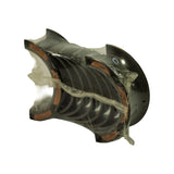 Opposite three-quarter angle of the sealed pack showing the curvature of the shells and the copper-alloy substrate visible beneath the overlay