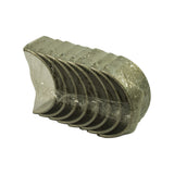 Angled view of the sealed set from the opposite end, confirming the shells remain in factory-stacked order within the intact shrink wrap.