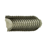 Top-down view of the heat-sealed clear plastic sleeve holding the stacked bearing half-shells, revealing the full length of the set