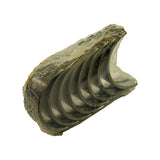 Angled end-on view of the wrapped stack showing two flanged thrust half-shells on the right with raised side flanges against the plain mains