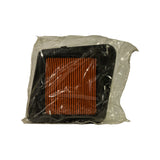 Front-face view of filter in clear plastic bag. Orange pleated element fills most of frame, black surround frame clearly visible on all sides. No labels or markings visible on filter or bag.