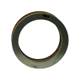 Top-down view of the filter ring showing full circular profile, Echlin AF 19 part number stamped on metal cap, NEUNN mark visible on opposite side