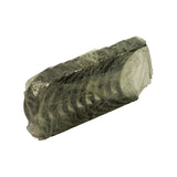 Angled three-quarter view of the wrapped bearing set bundle, showing the cylindrical end-on profile and the translucent wrap encasing the full stack of shells.