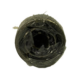 Top-down close-up of inner joint tulip housing showing circular cross-section and internal spline cavity, still in poly wrap