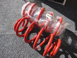 Volkswagen Passat 3B Springs